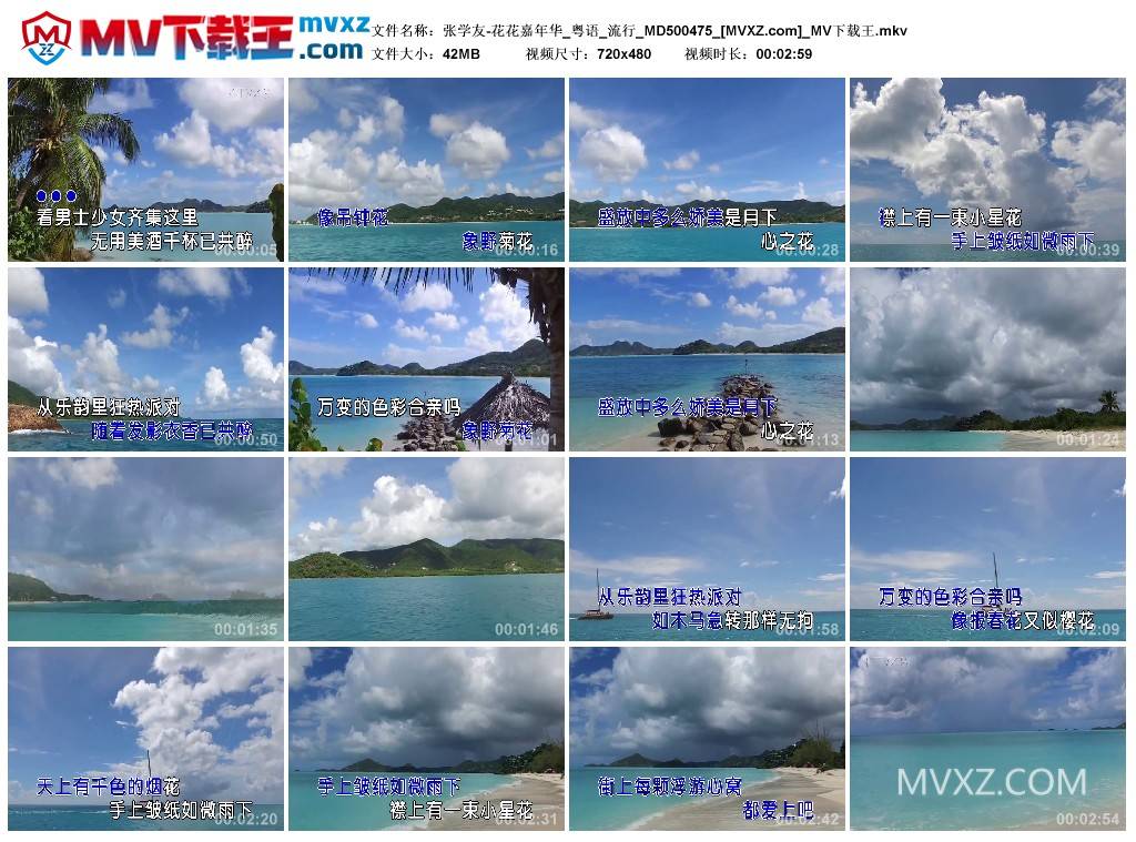 张学友-花花嘉年华_粤语_流行_MD500475
